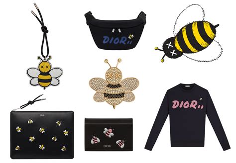 dior x kaws bee